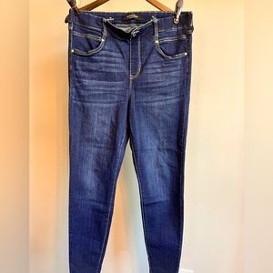 Liverpool Los Angeles Gia Glider Pull-On Skinny Jeans